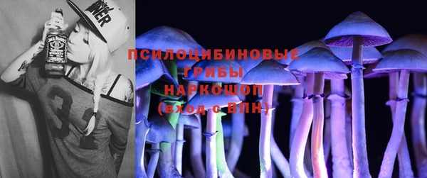 дмт Михайловск