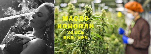 прущий лед Михайлов
