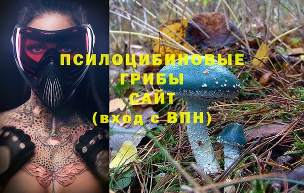 дмт Михайловск