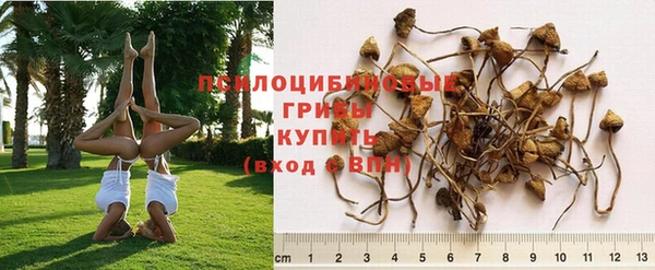 прущий лед Михайлов
