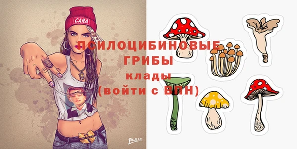 дмт Михайловск