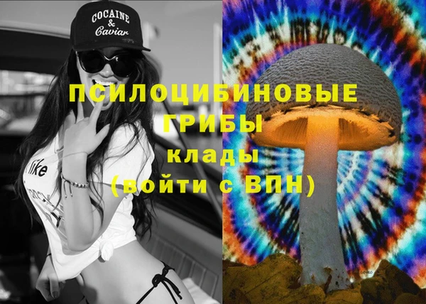 прущий лед Михайлов