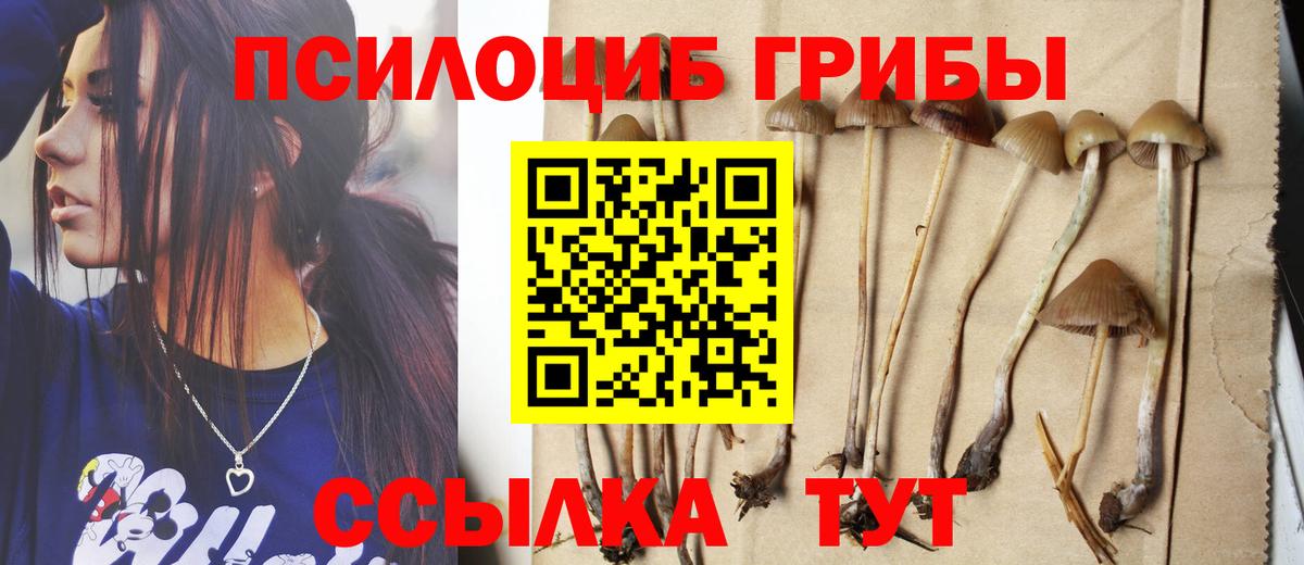 Псилоцибиновые грибы GOLDEN TEACHER Переславль-Залесский