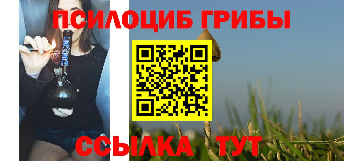 Переславль-Залесский  Галлюциногенные грибы Psilocybine cubensis  Вход с VPN  Галлюциногенные грибы Magic Shrooms 